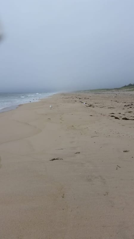 Amagansett National Wildlife Refuge