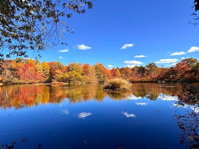 Twin Lakes Preserve